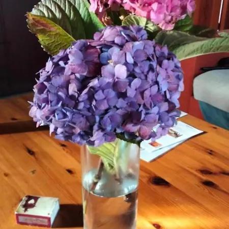 Mar De Flores Prázdninový dům Vega de San Mateo