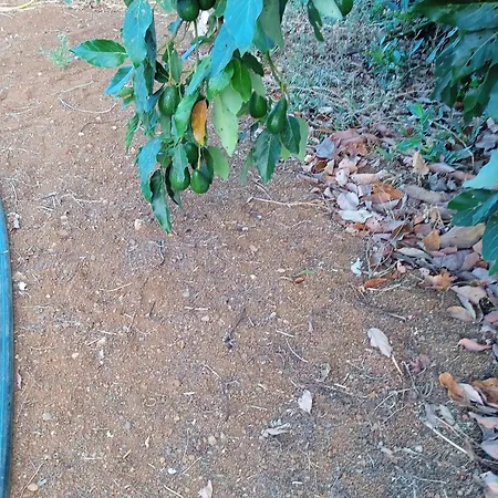 Nyaraló Mar De Flores *